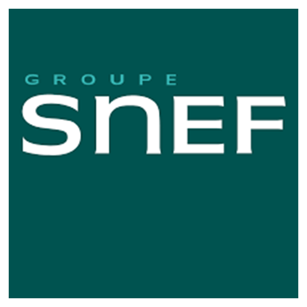 Groupe SNEF